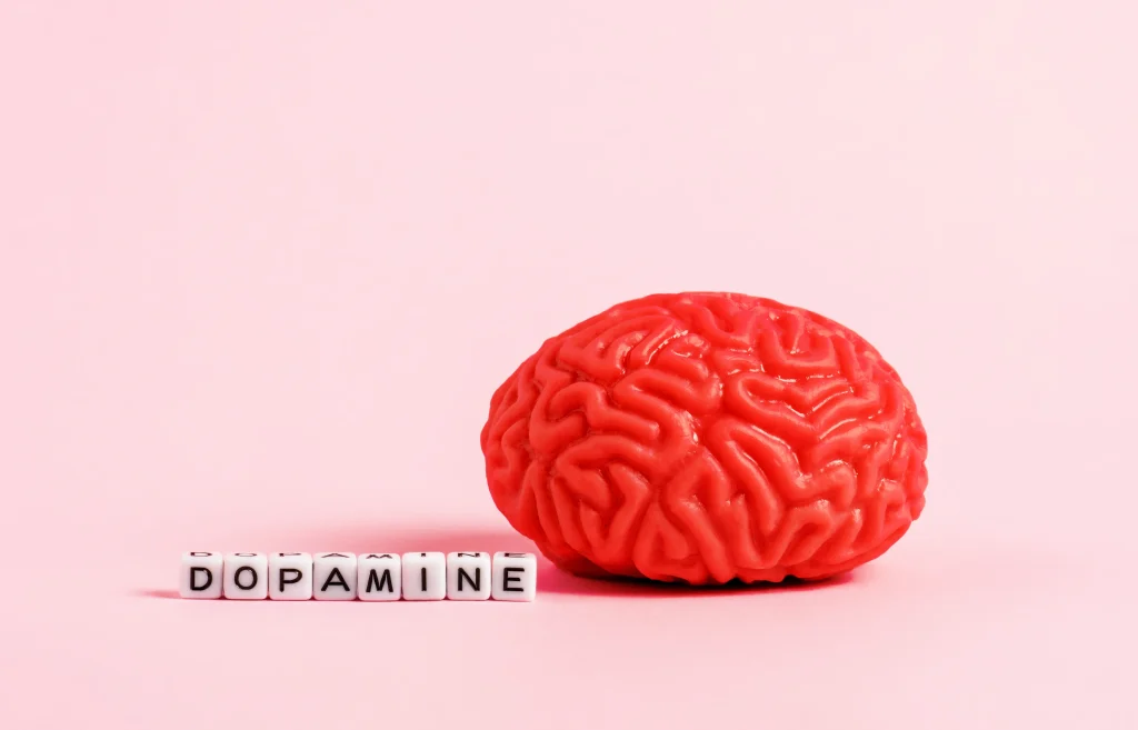 dopamine neurotransmitter and brain health concept 2026 03 19 22 07 12 utc copy